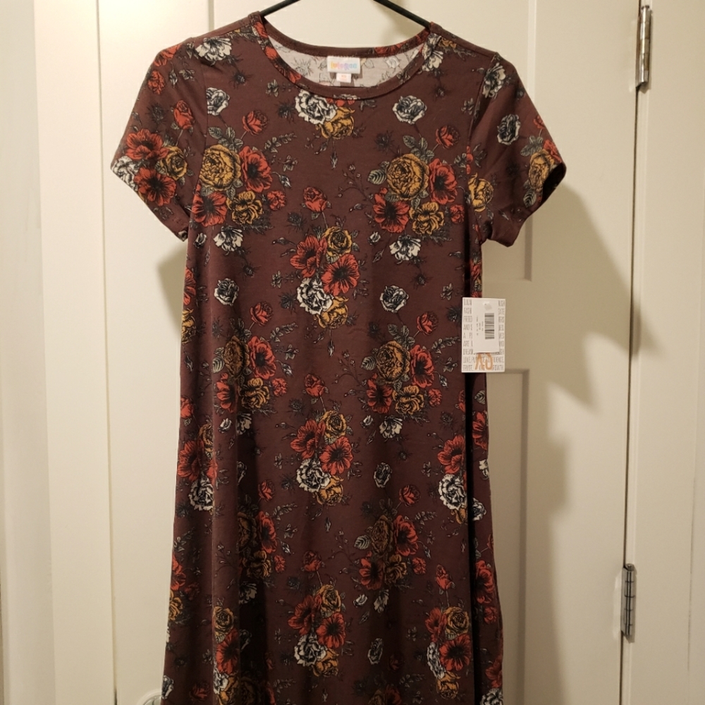 Buy 1 get 2 free. Nwt. Lularoe Carly